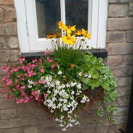Delighful Self Catering In The Heart Of Гластонбері Екстер'єр фото
